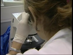 Hospital preps for emergency, i/v with infectious disease specialist News Clip