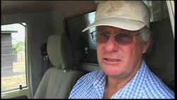 Boran cattle promote wildlife on African rangelands News Clip