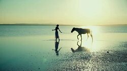 walking on the water Stock Footage