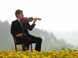 HD DOLLY: Musician In Nature Stock Footage