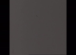 RR7217/1 YEAR 1972 USA: CAR SAFETY CUTS 1 OF 1 Instructional Video