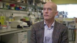 Parkinson's disease - a journey through a brain News Clip