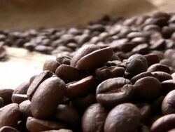 The coffee beans Stock Footage
