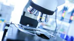 Researchers using a microscope in laboratory Stock Footage