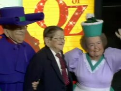 'Wizard Of Oz' Ruby Red Slipper DVD Gala Screening arrivals Stock Footage