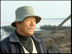 Clean up continues after tanker and barge collision News Clip