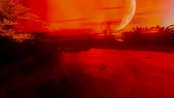 Date palms in oasis Stock Footage