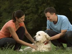 HD DOLLY: Couple Cuddling Their Dog Stock Footage