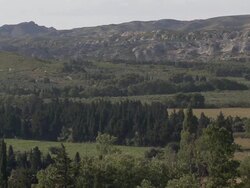 Trees grow on a hillside in a pretty French countryside. Stock Footage