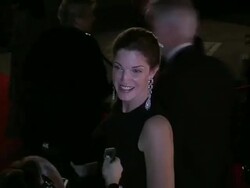 LACMA Opening Stock Footage