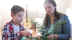 Nurture plants Stock Footage