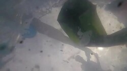 Plastic Pollution - Underwater Shots News Clip