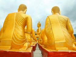Dolly Shot: Row of Buddhas at the temple Stock Footage