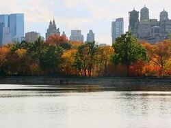 WS PAN View of autumn color trees and Central Park West Residents at reservoir / New York, United States Stock Footage