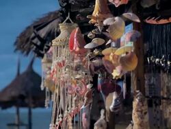 Sea Shell Beach Mobiles Stock Footage
