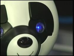 Talking pandas, Elvis bot and Spykee the Spy Robot on show in New York News Clip