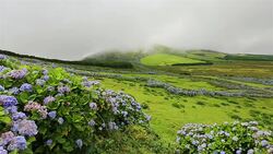 Highlands of Flores Island on Azores / Portugal Stock Footage