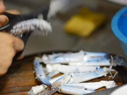crush pincers of crab with scissors. Stock Footage