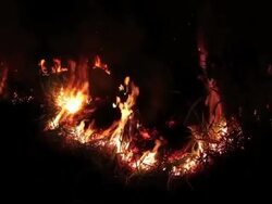 Illegal Gold Mining In Madre De Dios, Peru Stock Footage