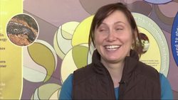 Detroit ZooÃ¢Â€Â™s Own Dr. Ruth Is Amphibian Sexpert News Clip