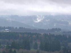 WS AERIAL View of pine tree with mountain / Oregon, United States Stock Footage