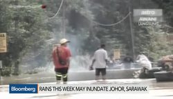 Malaysia Monsoon Hits Palm Oil, Rubber Production News Clip