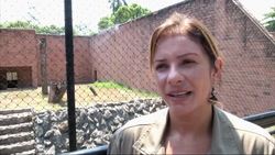 Animals in cool off with ice-cold popsicles as temperatures soar in Rio de Janeiro News Clip