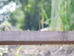 Hitting the nail with a hammer Stock Footage