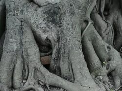 Old Stone Buddha Statues Stock Footage