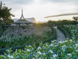 Exercise in park Thailand. Stock Footage