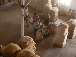 Coffee processing Stock Footage