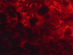 Charcoal heat background - zoom in Stock Footage