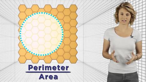 The Honeycombs of 4-Dimensional Bees ft. Joe Hanson