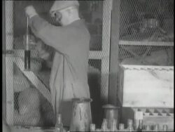 Bootleggers wear masks as they package liquor during prohibition. News Clip
