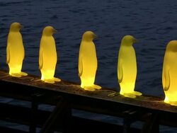 MS View of penguin lamps  / Prague, Hlavni mesto Praha, Czech Republic Stock Footage