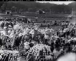 Japanese Farmers Plant Rice Fields News Clip