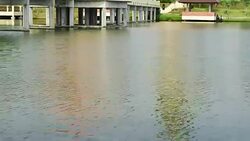 fresh water Stock Footage