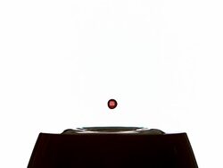 CU SLO MO Drop of red wine falling into glass against white background / Vieux Pont, Normandy, France Stock Footage