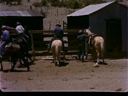 Cattle Ranch, Cowboys Stock Footage