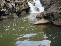 CU TU Shot of Hoopii Falls / Kapaa, Kauai, Hawaii, United States Stock Footage