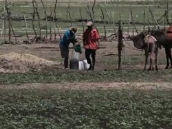 WS View of Families collecting water from shafts / Pilao Arcado, Bahia, Brazil Stock Footage