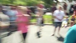 Protests outside dental surgery of Walter Palmer News Clip