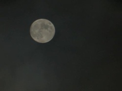 Moon Stock Footage