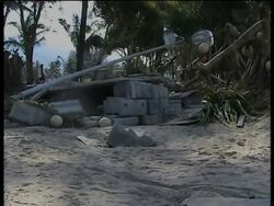 Debris, clean up, injured in hospital, bodies in mortuary News Clip