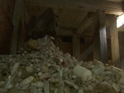 MS Shot of people unloading plastics bottles bag / Cairo, Egypt Stock Footage