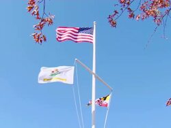 HD Annapolis Flags (1080/24P) Stock Footage