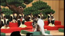 Leaders forgo traditional dress for group photo News Clip