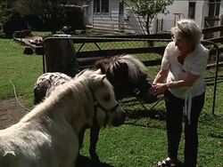 Australians declare independence from Australia News Clip