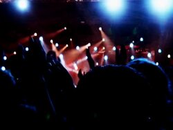 Rock Show Stock Footage