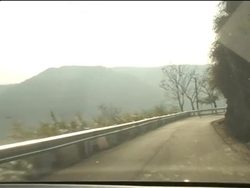 From the farm to table - the organic Chinese restaurant News Clip